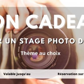 CARTE CADEAU
