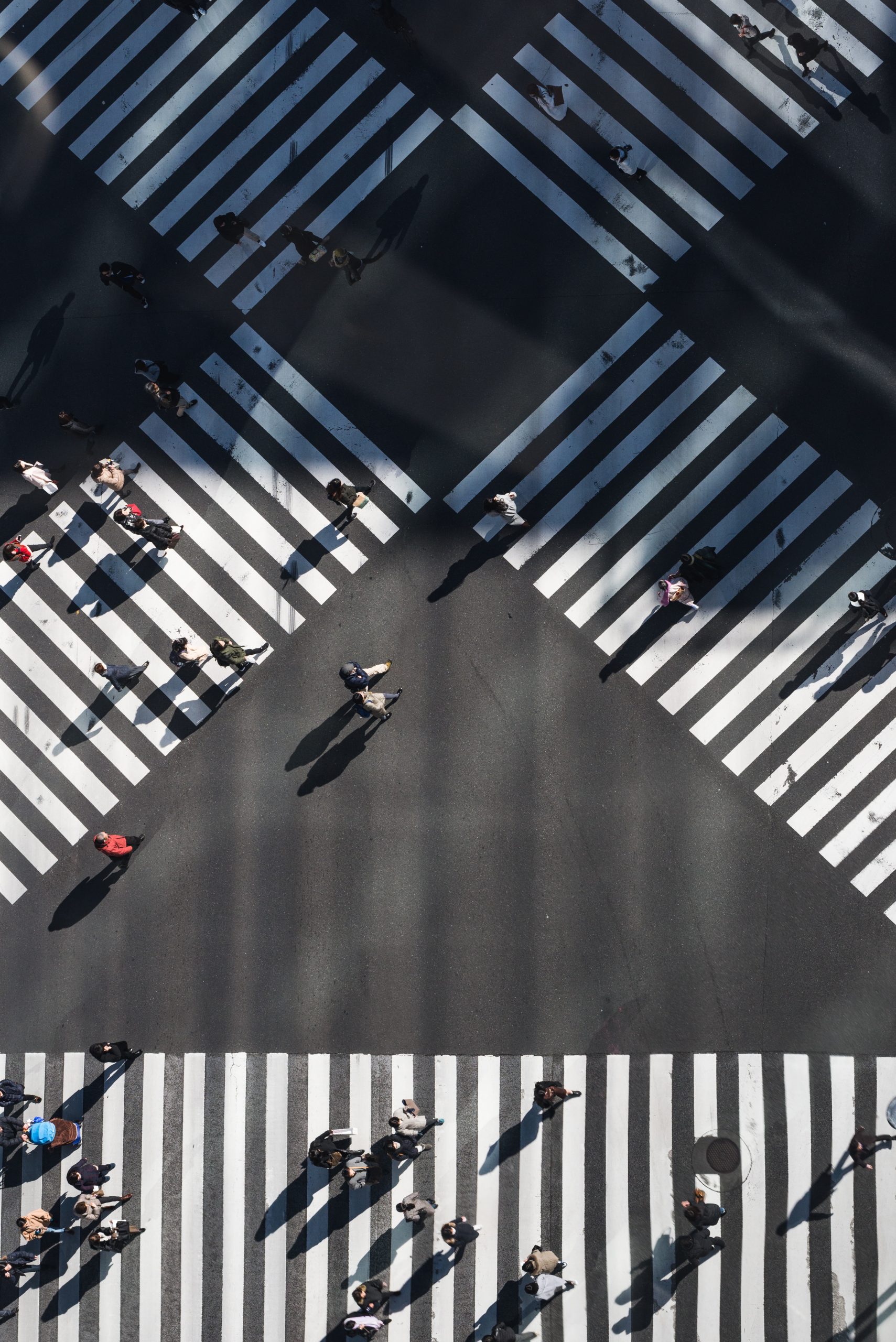 stage Photo Versailles - Street Photographie