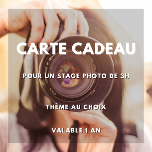 stage photo à versailles, carte cadeau 2